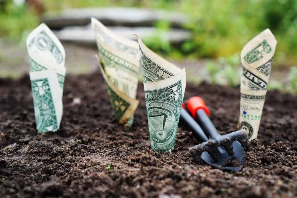 Dollar bills planted in the ground