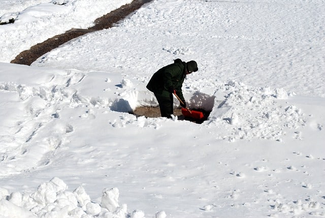 ganar dinero paleando nieve