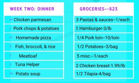 $50 Grocery List For 2 And Weekly Meal Plan - Dollarsanity