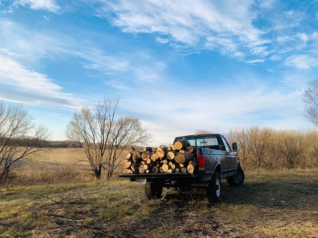 firewood pickup