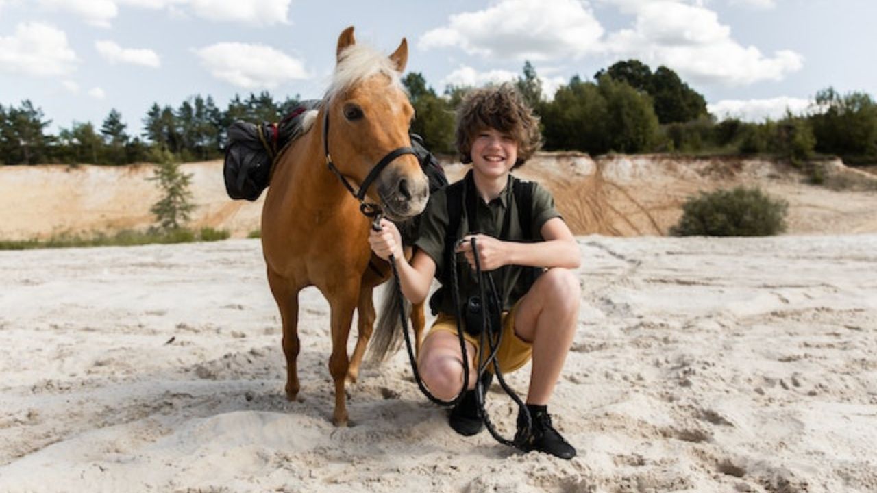 How Much Does a Pony Cost? (2023 Price Guide) BusinessHatch News