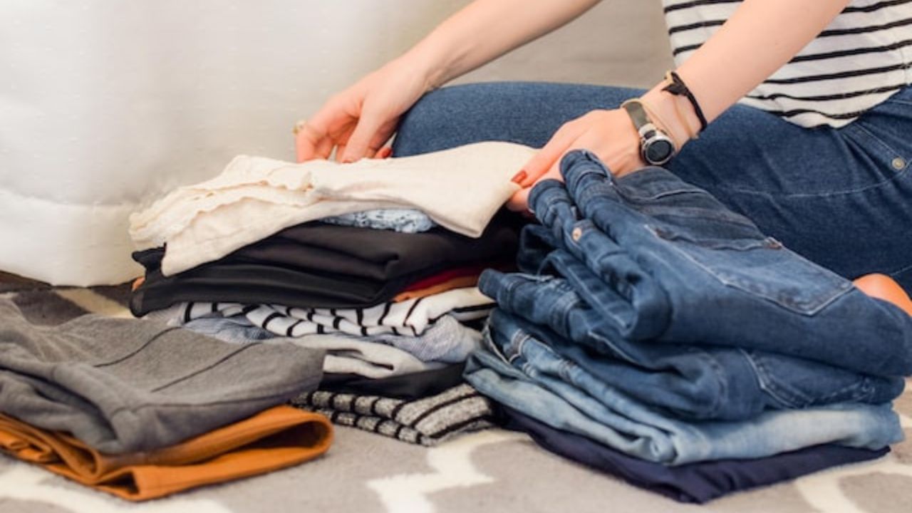 how-to-get-free-clothes-from-shein-dollarsanity