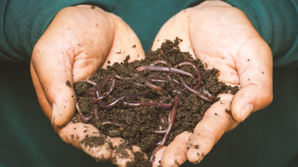 Get Free Compost