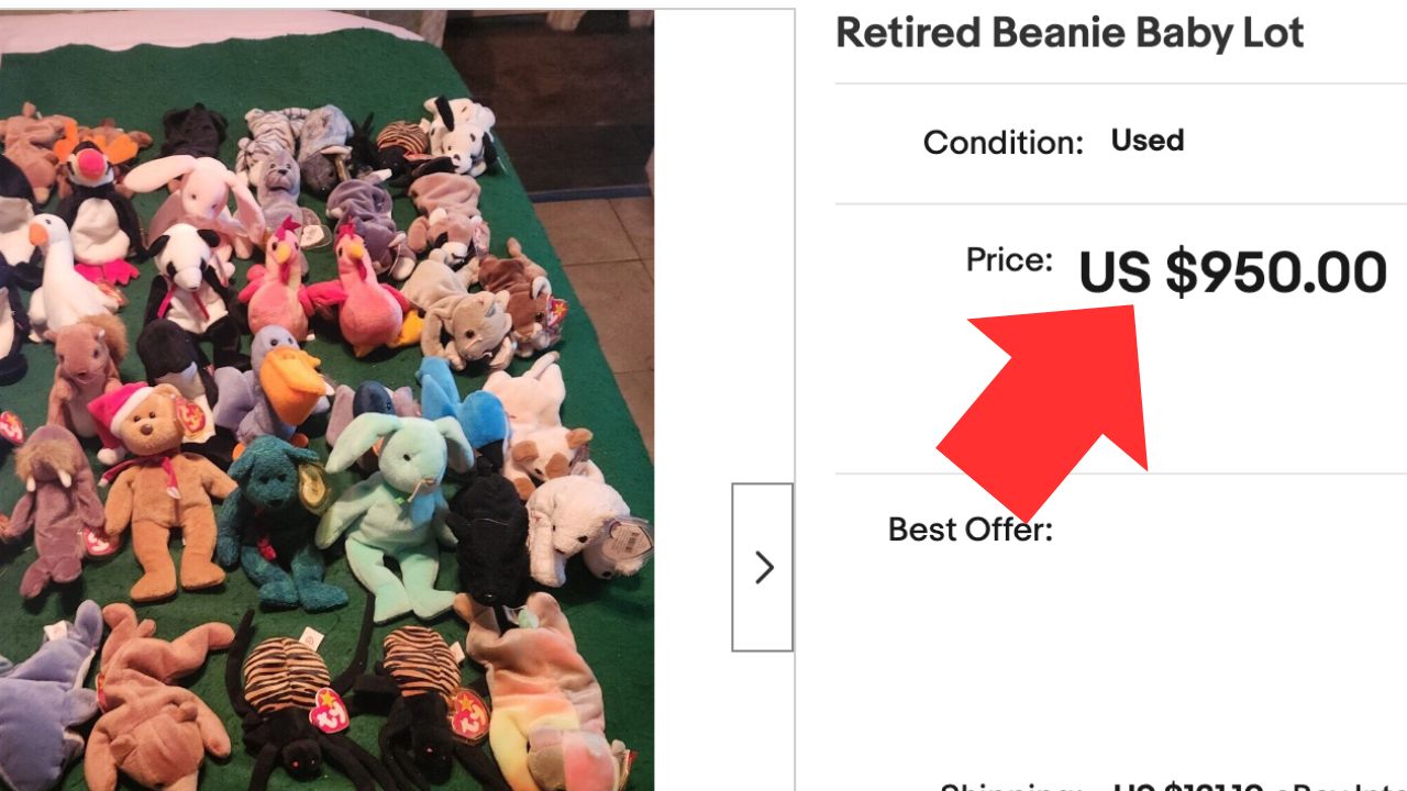 12 Places to Sell Beanie Babies for Cash (Near You) Dollarsanity