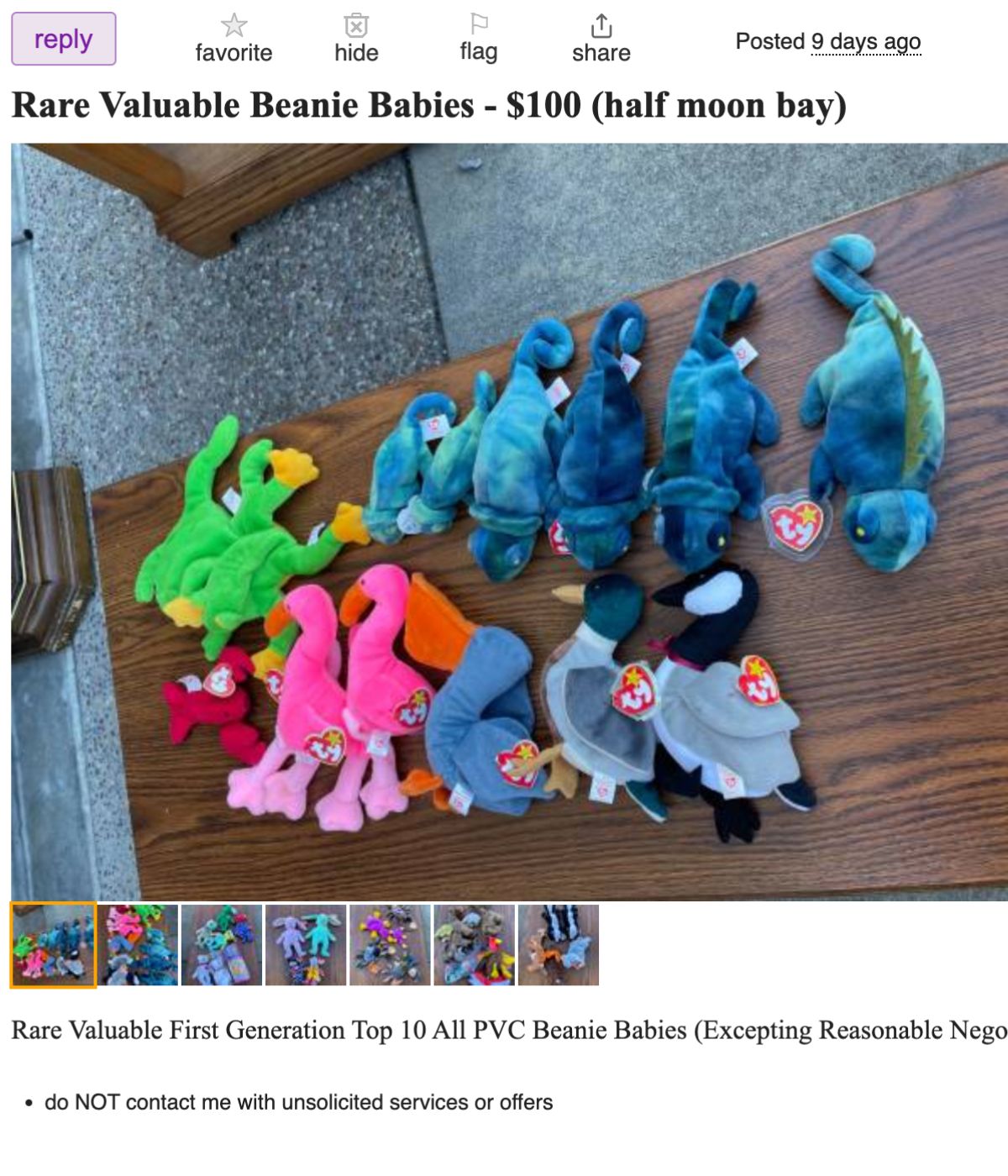 12 Places To Sell Beanie Babies For Cash (Near You) - Dollarsanity